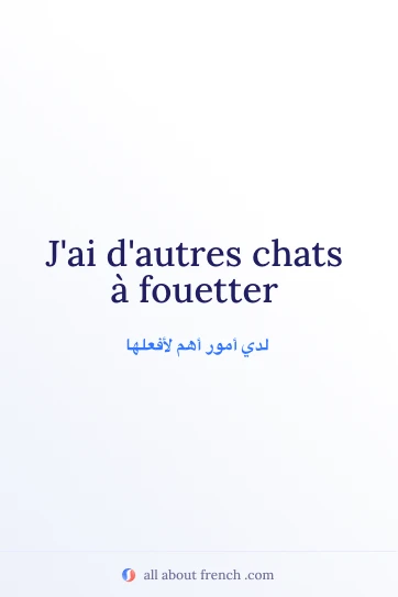 اقتباس فرنسي جميل: autres chats a fouetter
