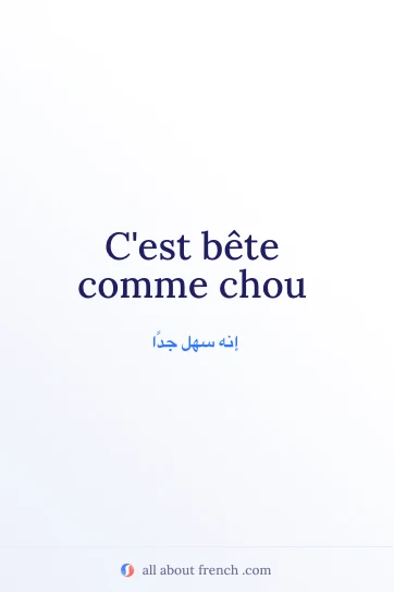 اقتباس فرنسي جميل bete comme chou
