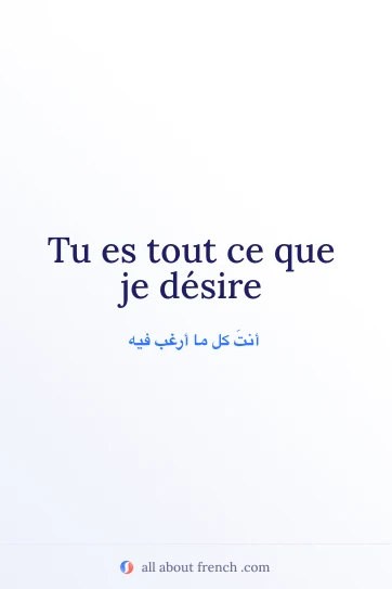 اقتباس فرنسي جمالي ce que je desire