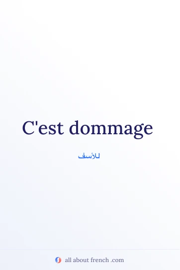 اقتباس فرنسي جميل: cest dommage