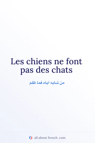 اقتباس فرنسي جمالي: chiens font pas des chats