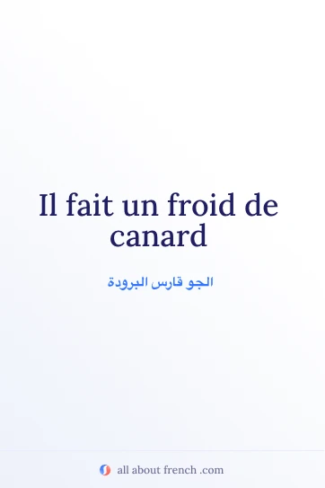 عبارة فرنسية أنيقة froid de canard
