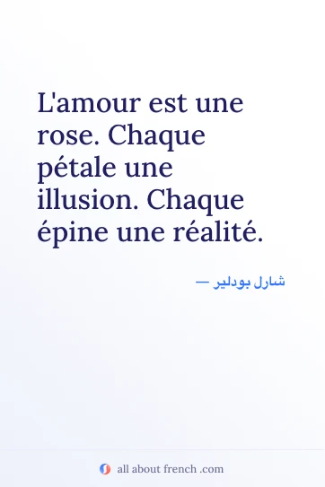 اقتباس فرنسي جمالي: lamour est une rose