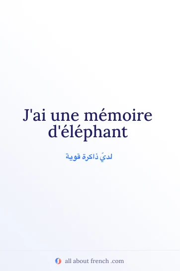 اقتباس فرنسي جمالي memoire delephant