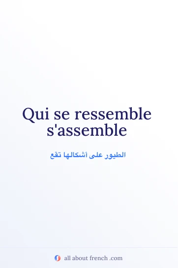 اقتباس فرنسي جميل qui se ressemble sassemble