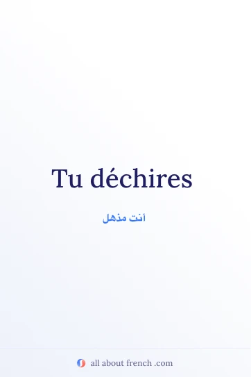 اقتباس فرنسي جمالي tu dechires