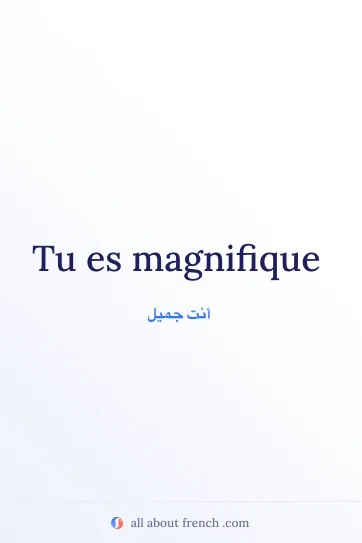 اقتباس فرنسي جميل: tu es magnifique