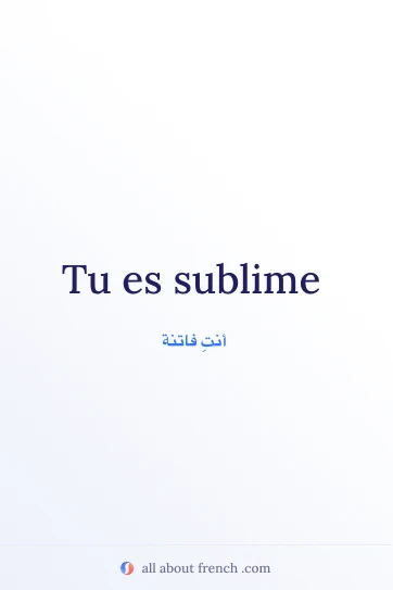 اقتباس فرنسي جمالي tu es sublime