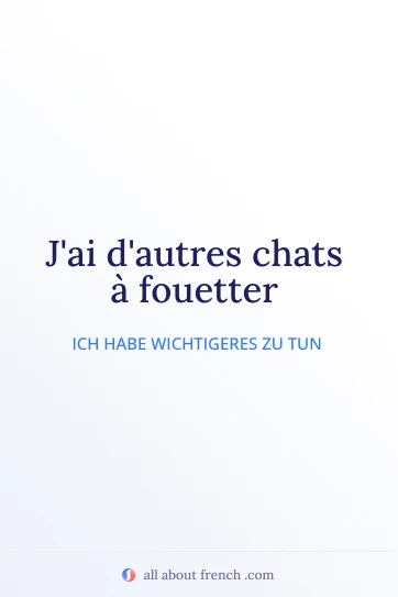 ästhetisches französisches Zitat autres chats a fouetter