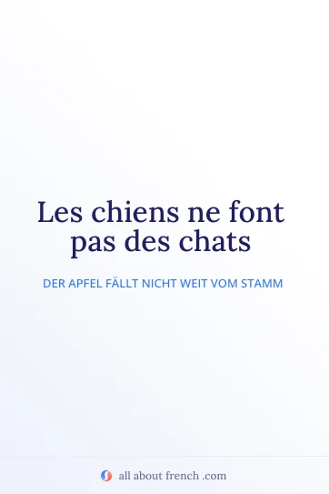 ästhetisches französisches Zitat chiens font pas des chats