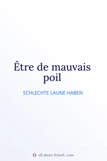 ästhetisches französisches Zitat etre de mauvais poil