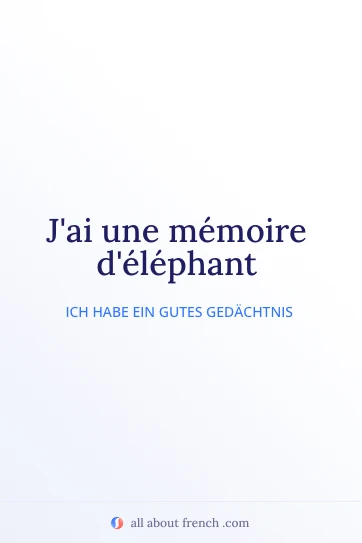 ästhetisches französisches Zitat memoire delephant
