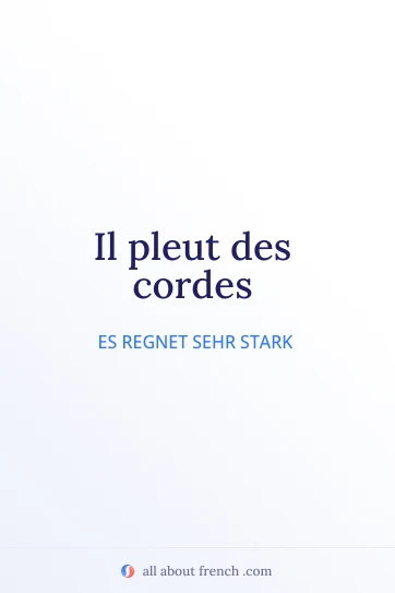ästhetisches französisches Zitat pleuvoir des cordes