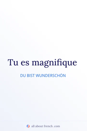 ästhetisches französisches Zitat tu es magnifique
