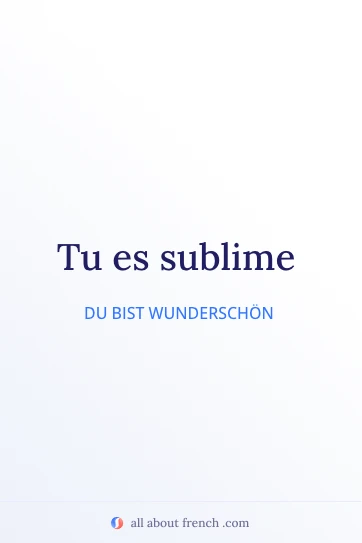 ästhetisches französisches Zitat tu es sublime