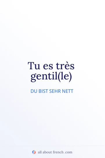 ästhetisches französisches Zitat tu es très gentille