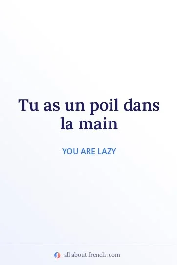 aesthetic french quote avoir poil dans la main