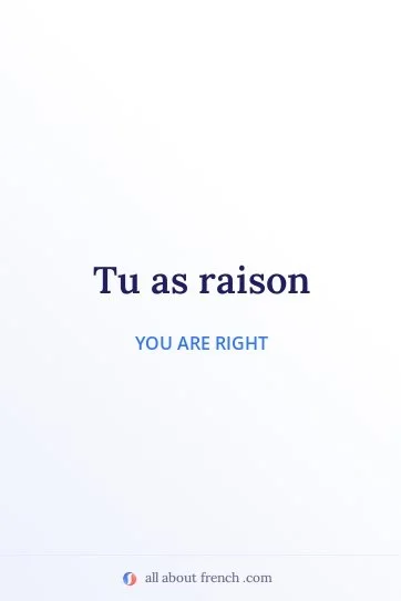 aesthetic french quote avoir raison