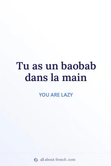 aesthetic french quote baobab dans la main