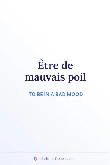 aesthetic french quote etre de mauvais poil