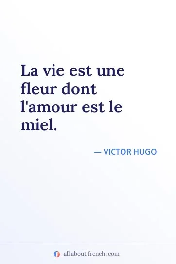 aesthetic french quote la vie est une fleur dont lamour est le miel