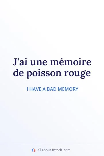 aesthetic french quote memoire de poisson rouge