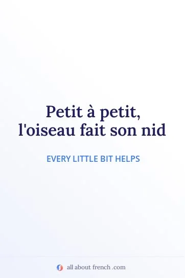 aesthetic french quote petit a petit loiseau fait son nid