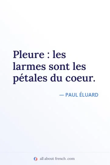 aesthetic french quote pleure larmes petales du coeur