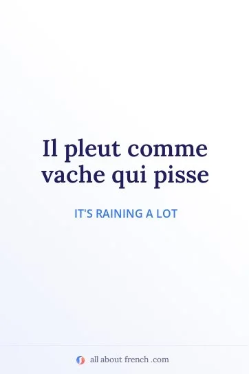 aesthetic french quote pleut comme vache qui pisse