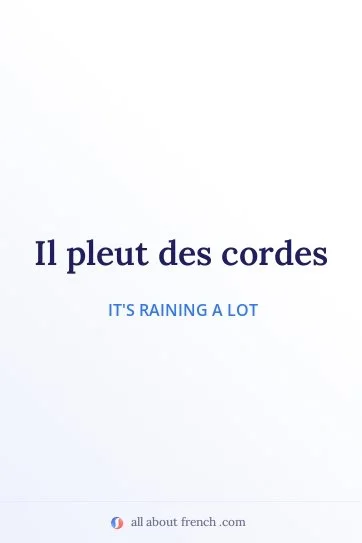 aesthetic french quote pleuvoir des cordes