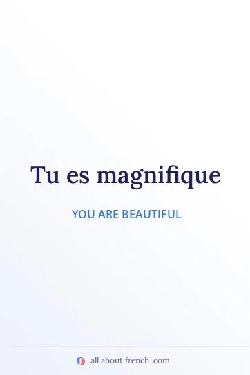 aesthetic french quote tu es magnifique