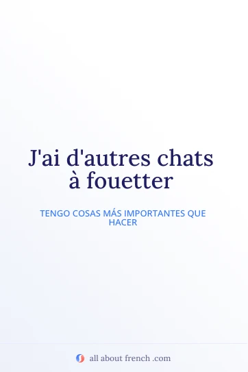 cita francesa estética autres chats a fouetter