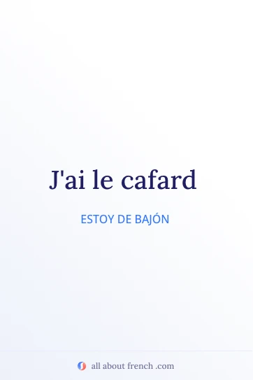 cita francesa estética avoir le cafard
