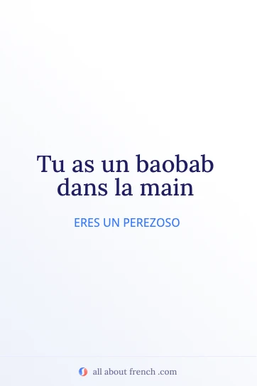 cita francesa estética baobab dans la main