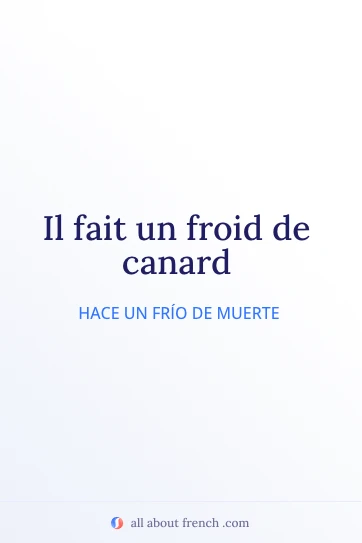 cita francesa estética froid de canard
