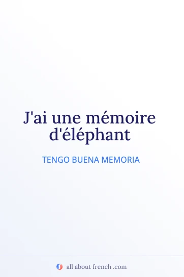 cita estética en francés memoire delephant