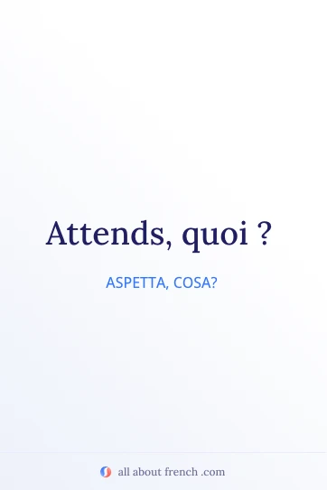 frase francese estetica attends quoi