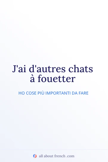 citazione francese estetica autres chats a fouetter