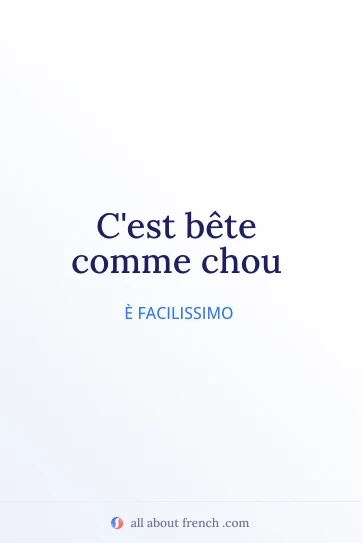 citazione francese estetica bête comme chou