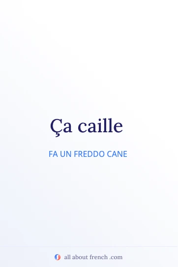 citazione francese estetica ça caille