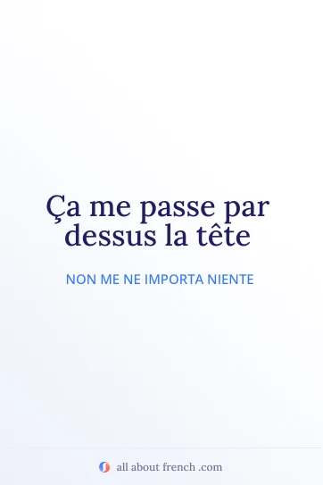 citazione francese estetica ca me passe par dessus la tete
