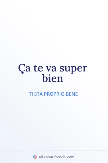 citazione francese estetica ça te va bien
