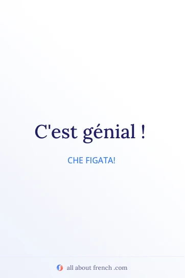 citazione francese estetica cest genial