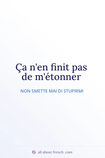 citazione francese estetica finit pas de metonner