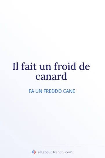 citazione francese estetica froid de canard