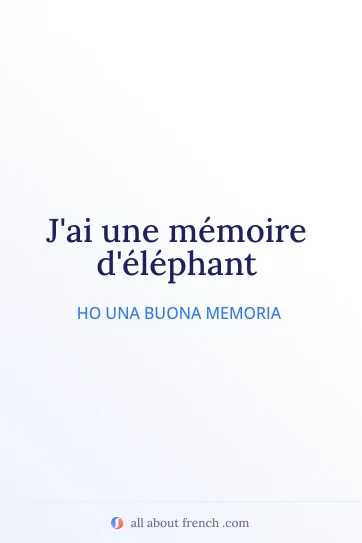 citazione francese estetica memoire delephant