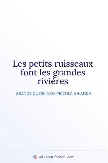 bella citazione francese petits ruisseaux font grandes rivieres