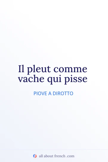 citazione francese estetica pleut comme vache qui pisse