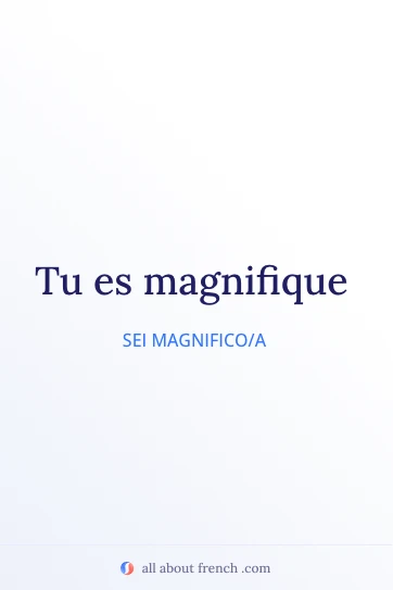 citazione estetica in francese tu es magnifique