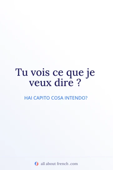 bella citazione francese tu vois ce que je veux dire
